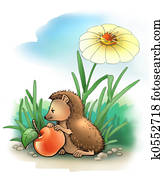 HEDGEHOG 2 HEDGEHOG 2
