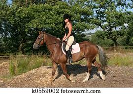 Horse Rider Horse Rider