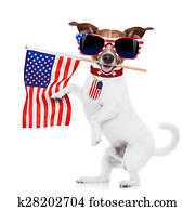 hund, 4. july hund, 4. july