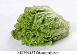 lettuce lettuce