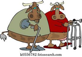 Old Cows Home Old Cows Home