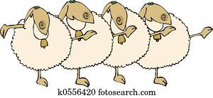Sheep Chorus Line Sheep Chorus Line