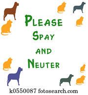 spay and neuter post spay and neuter post