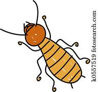 termite termite