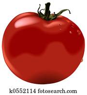 Tomato Tomato