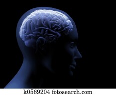 3d brain 3d brain