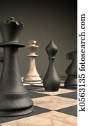 checkmate checkmate