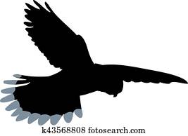 Kestrel silhouette