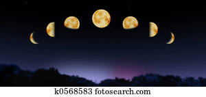 moon phases moon phases