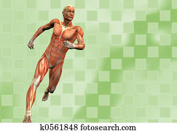 muscle man background muscle man background