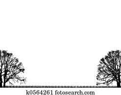 plain trees plain trees