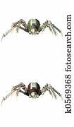 Robo Spider Robo Spider