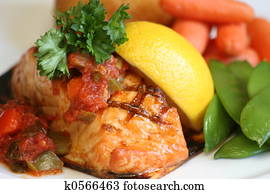 Salmon Salmon