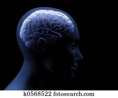 transparent brain transparent brain