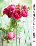 טרי, ראנאנכאלאס