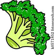 broccoli broccoli