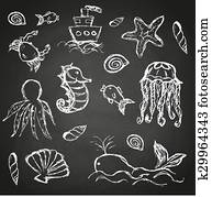 fish and sea life hand drawn doodle icons set on black board eps10