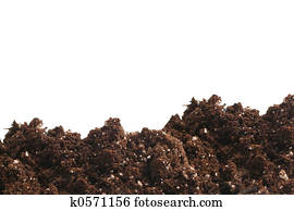 garden dirt