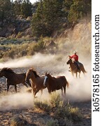 Horses on the Run Horses on the Run