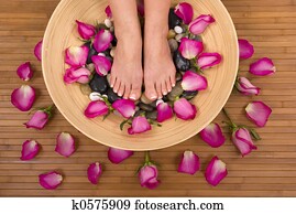 Pedispa Pedispa