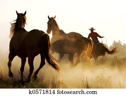 Running Wild Running Wild
