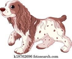 spaniel, cão