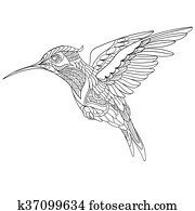 Stylized hummingbird bird