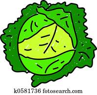 cabbage cabbage