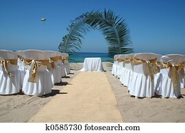 casamento praia, com, cadeiras, palma, arco, e, oceânicos, em, fundo