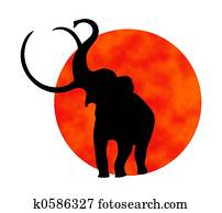 elephant silhouette elephant silhouette