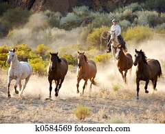 Horse Round Up Horse Round Up