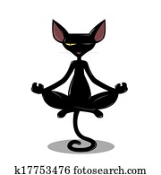 Master Cat Master Cat