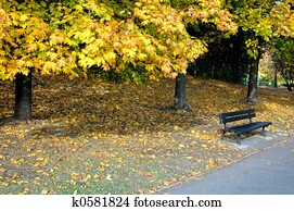 park in the autumn park in the autumn