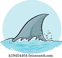 Shark Dorsal Fin Shark Dorsal Fin