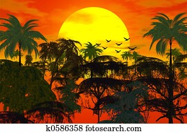 sunset over jungle sunset over jungle