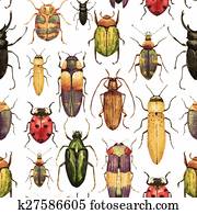 וואטארכולור, הצק, חיפושית, תבנית