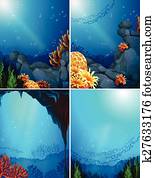 Coral reef Coral reef