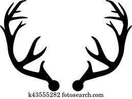Deer Antler Deer Antler