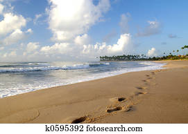 footprints in sand footprints in sand