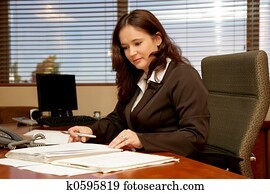Office Desk Office Desk