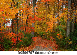 Scenic Autumn Scenic Autumn