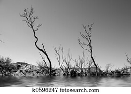 Striking Landscape in Monochrome