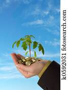 Young business series