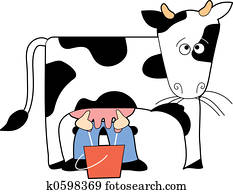 פרה, being, milked