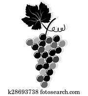 Bunch of grapes Bunch of grapes