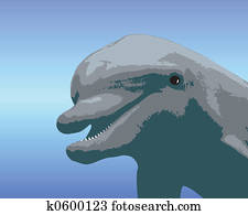Cartoon Dolphin Cartoon Dolphin