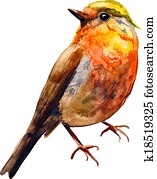 Cute birds for your design. watercolor Cute birds for your design. watercolor
