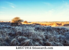 Dutch Coastal Feature
