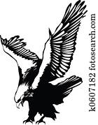 Flying eagle Flying eagle
