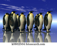 penguins penguins